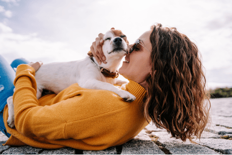 Exploring the Benefits of CBD Oil for Dog